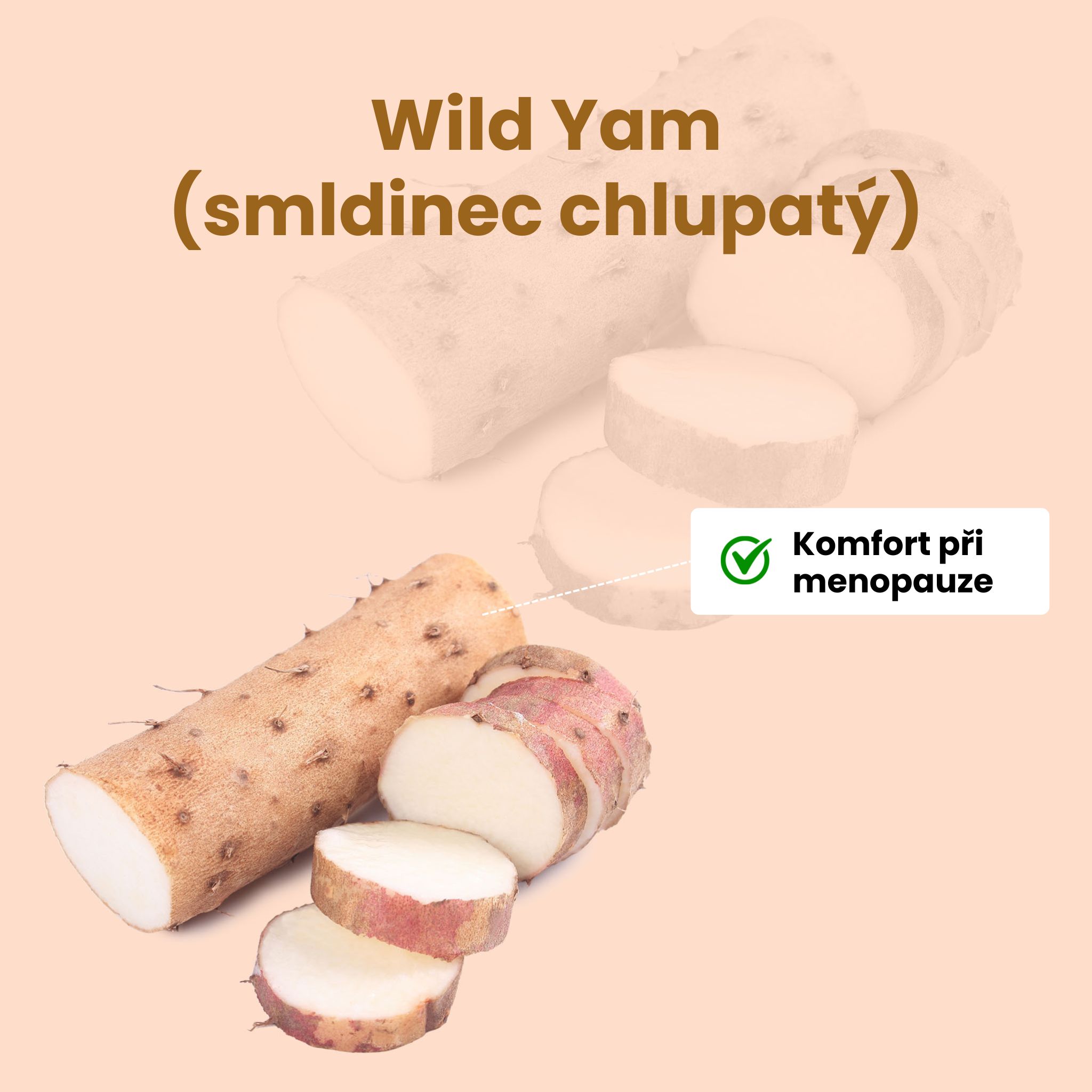 wild yam